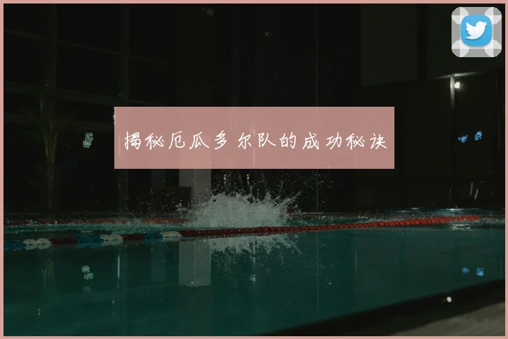 揭秘厄瓜多尔队的成功秘诀